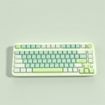 Ginkgo 104+39 Cherry MX PBT Dye-subbed Keycaps Set for Mechanical Keyboard GK61 64 68 87 96 980 104 108